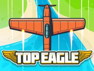 Top Eagle game cover